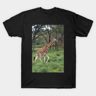 Rothschild's Giraffe In The Bush, Kenya T-Shirt